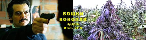 каннабис Елизово