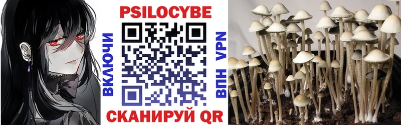 Галлюциногенные грибы Magic Shrooms Звенигород
