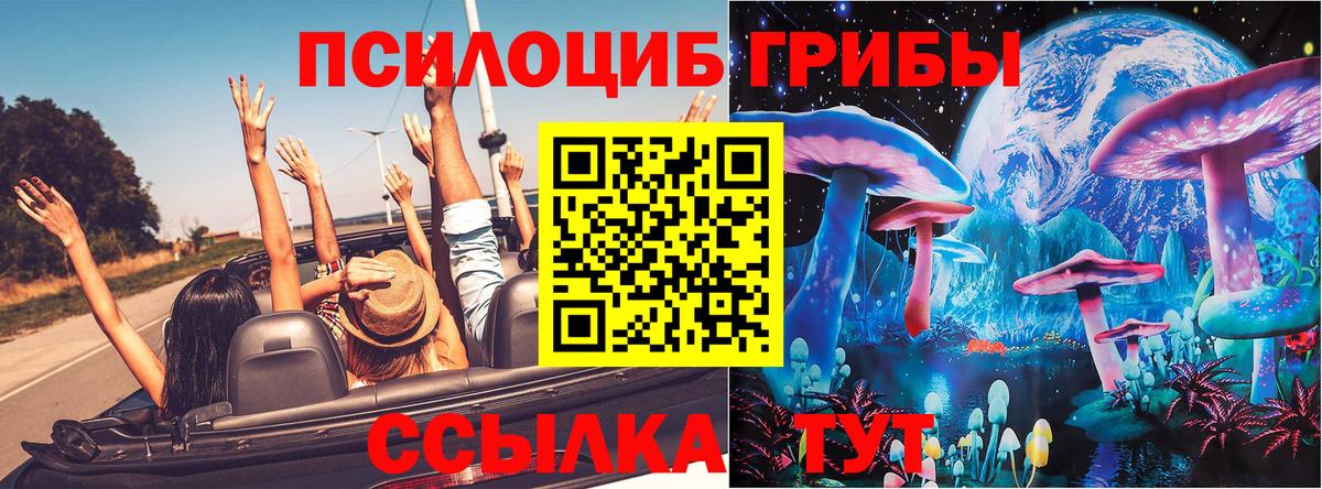 Псилоцибиновые грибы прущие грибы Звенигород