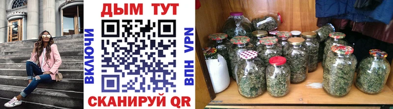 купить наркотик  Звенигород  Канабис гибрид 